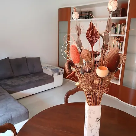 La Casa Del Borea Feriehus *